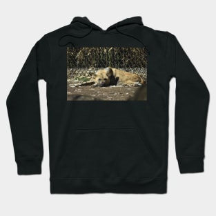 African Wild Dog Hoodie